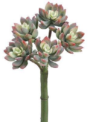 9" Faux Green and Red Five Head Mini Succulent