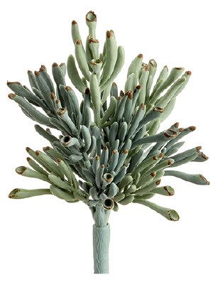 9" Faux Green and Gray Coral Succulent