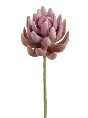 6" Faux Two-Tone Coral Senecio