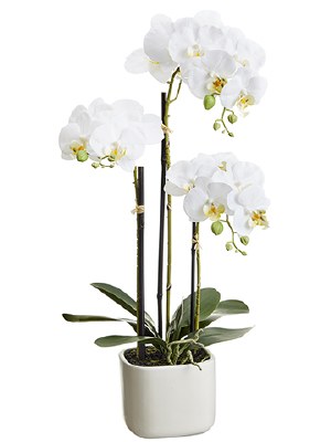 25" Faux Three White Orchids in a Terra Cotta Pot
