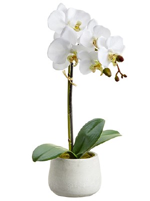 16" Faux Single White Orchid in a Cement Pot
