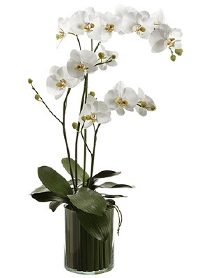 36" Faux White Orichids in Soil and Glass Vase