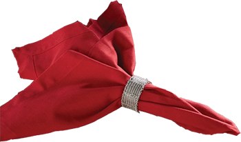 20" Square Red Elements Cloth Napkin
