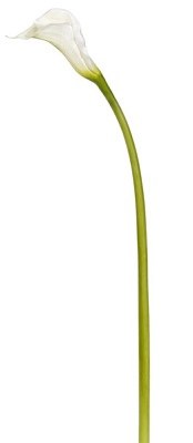 31" Faux White Calla Lily