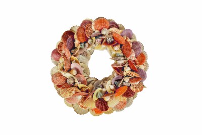 14" Mutlicolored Pecten and Shell Wreath
