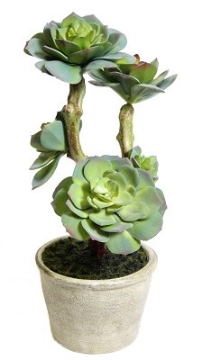 13" Faux Light Green Stalky Echeveria