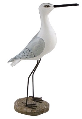 17" White and Gray Seabird