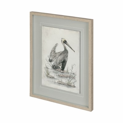 31" x 25" Black and White Pelican Under Glass