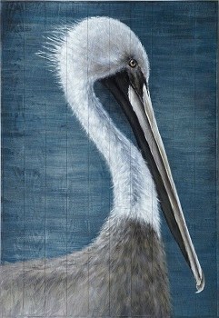55" x 38" Pelican on Blue Planks Wood Plaque