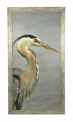 50.5" x 26.5" Photo Gray Beak Heron Coastal Print Framed