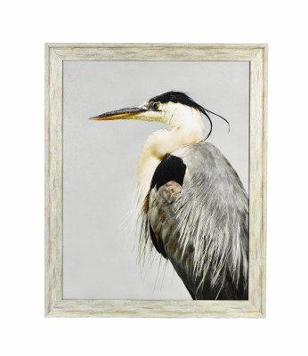 30.5" x 24.5" Photo Black Beak Heron Left Coastal Print Framed