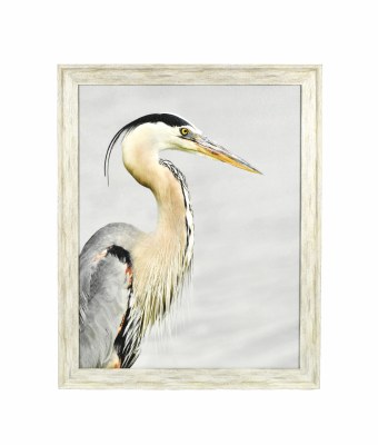 30.5" x 24.5" Photo Black Beak Heron Right Coastal Print Framed