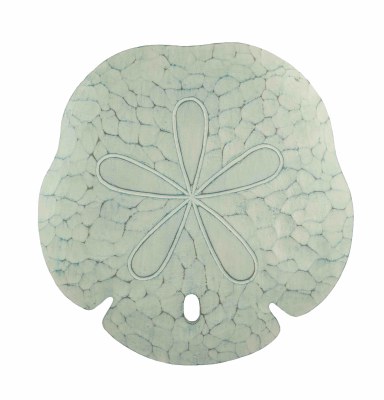 16" Seafoam Sand Dollar Plaque