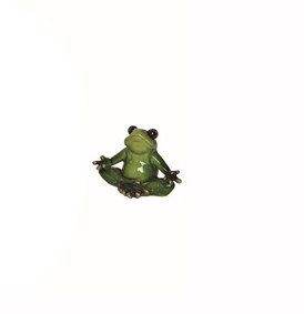 3" Sukhasana Yoga Frog