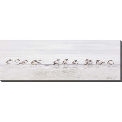 20" x 59" Birds Ashore Canvas