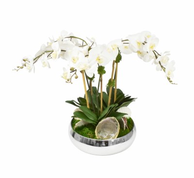 26" Faux Tropical Orchid With Shells and Silver Bowl