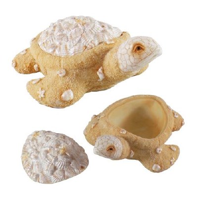 Turtle Shape Box with Sand and Shell Lid