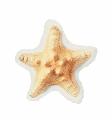 14" Starfish Shaped Pillow