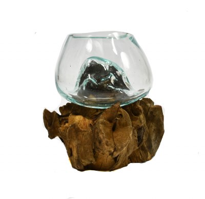 4.5" Glass Bowl With Natural Root Base
