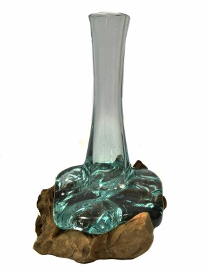 10" Glass Vase With Bleached Root Base