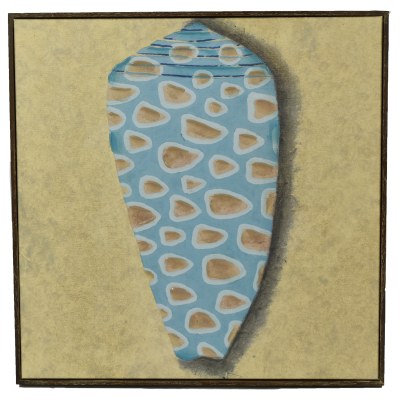 24" Square Blue Coneshell On Sand Colored Framed Canvas