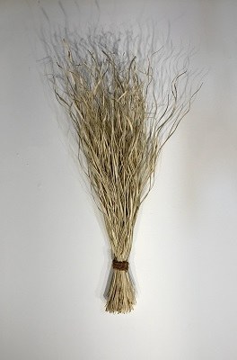 Buncdle of 32" Bleached Magdalena Palm Grass