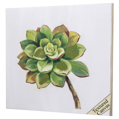 30" Square Textured Succulent 3 Framed Print