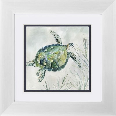 19" Square Blue and Green Turtle 1 Framed Print Under Glass