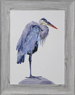 30" x 24" Blue Heron Curled In Gel Print Framed
