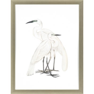 35" x 27" Black Billed Herons Print Framed