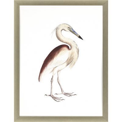 35" x 27" Marone Backed Heron Print Framed