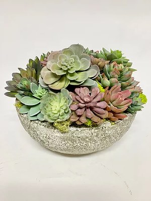 9" Faux Multicolored Succulent In Round Bowl