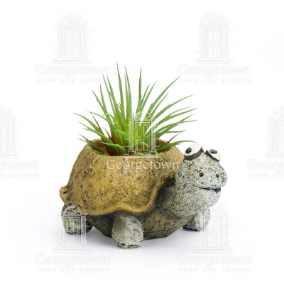 1.75" Preston The Tortoise Planter