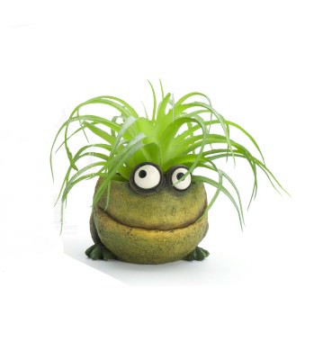 2.25" Green Baby Frog Planter