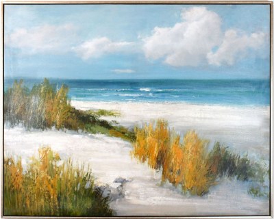 40" x 46" Beach Dunes On Framed Canvas