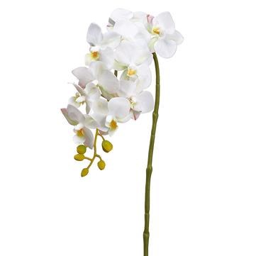 22" Faux White Phaleonopsis
