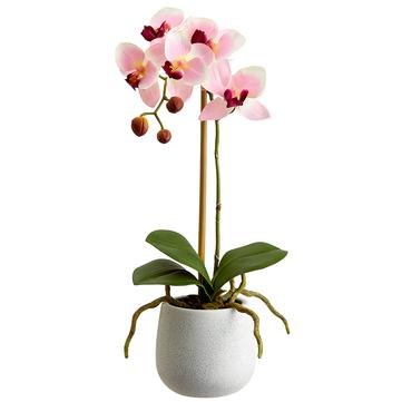 15" Faux Pink Phaleo In White Pot