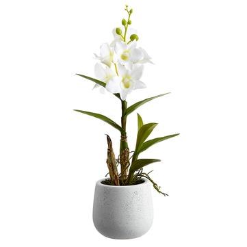 15" Faux White Dendrobium In White Pot