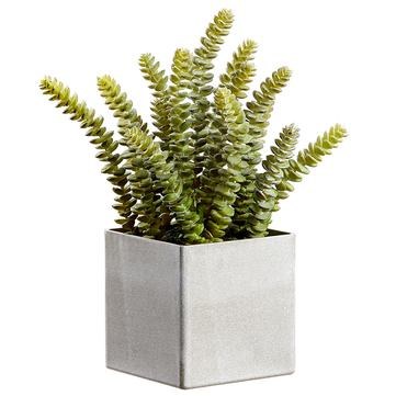 12" Faux Green and Gray Dinkey In Square Pot