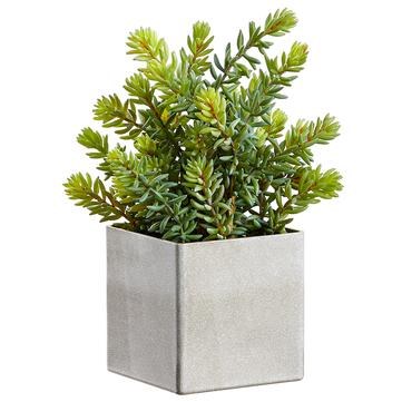12" Faux Green and Gray Sedum in Square Pot