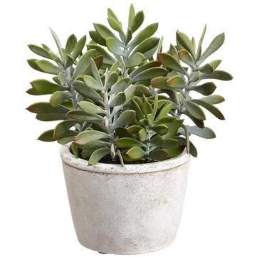 10" Faux Green and Gray Crassula In Round Pot