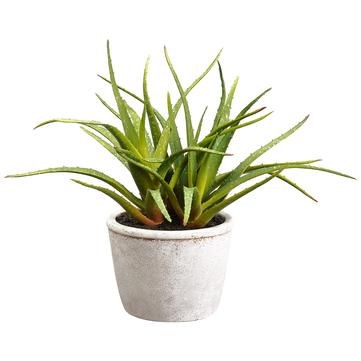 12" Faux Green Aloe In Round Pot