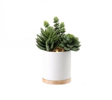7" Mix Faux Succulent In White Pot With Wood Base