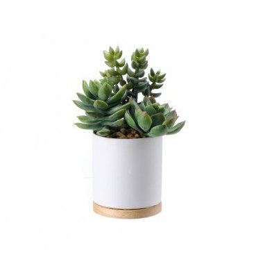 7.5" Mix Of Faux Succulent In White Pot With Wood Base