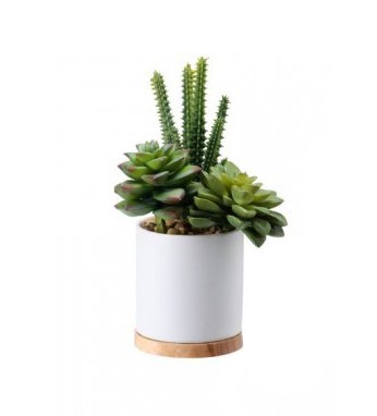 8" Mix Of Cactus Faux Succulent In White Pot With Wood Base