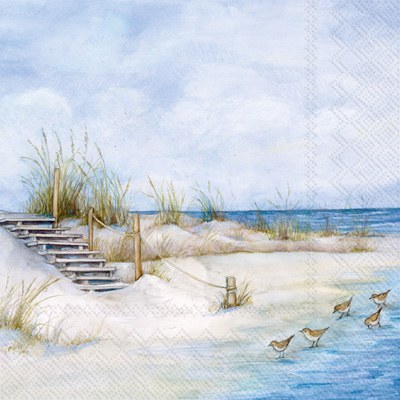 5" Square Beach Stairs Sandpipers Beverage Napkin