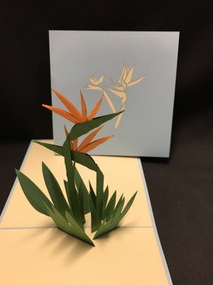 6" Square Pop Up Bird Of Paradise Card