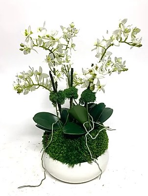 17" Faux Triple Mini White Orchid In Small White Pot