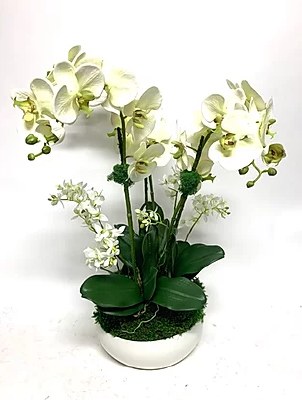 26" Faux Pale Green Orchid In Medium White Bowl