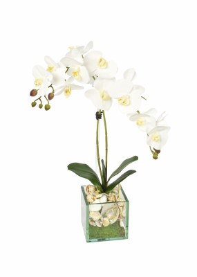 Two Faux White Orchids in 5" Glass Cube
